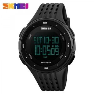skimei_dg_1219