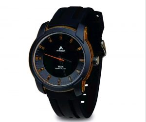 eiger_iyw0100