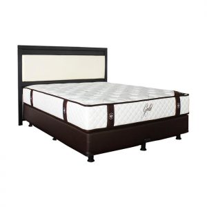 spring_bed_central_gold