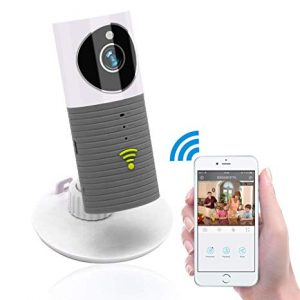 cctv_clever_dog_ip_camera