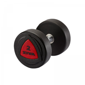 ziva-zvo-urethane-dumbbells