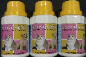 foto-merek-vitamin-kucing-terbaik-yang-bagus-dan-tepercaya-04