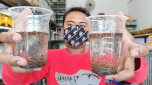 gambar-makanan-ikan-cupang-6